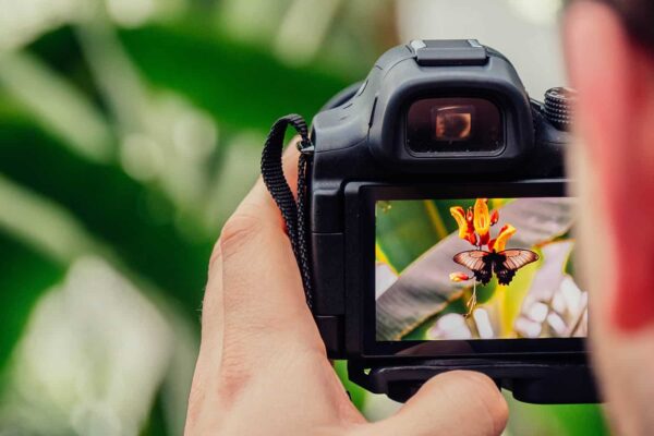 Photography Course for Beginners: Master the Basics and Capture Stunning Shots
